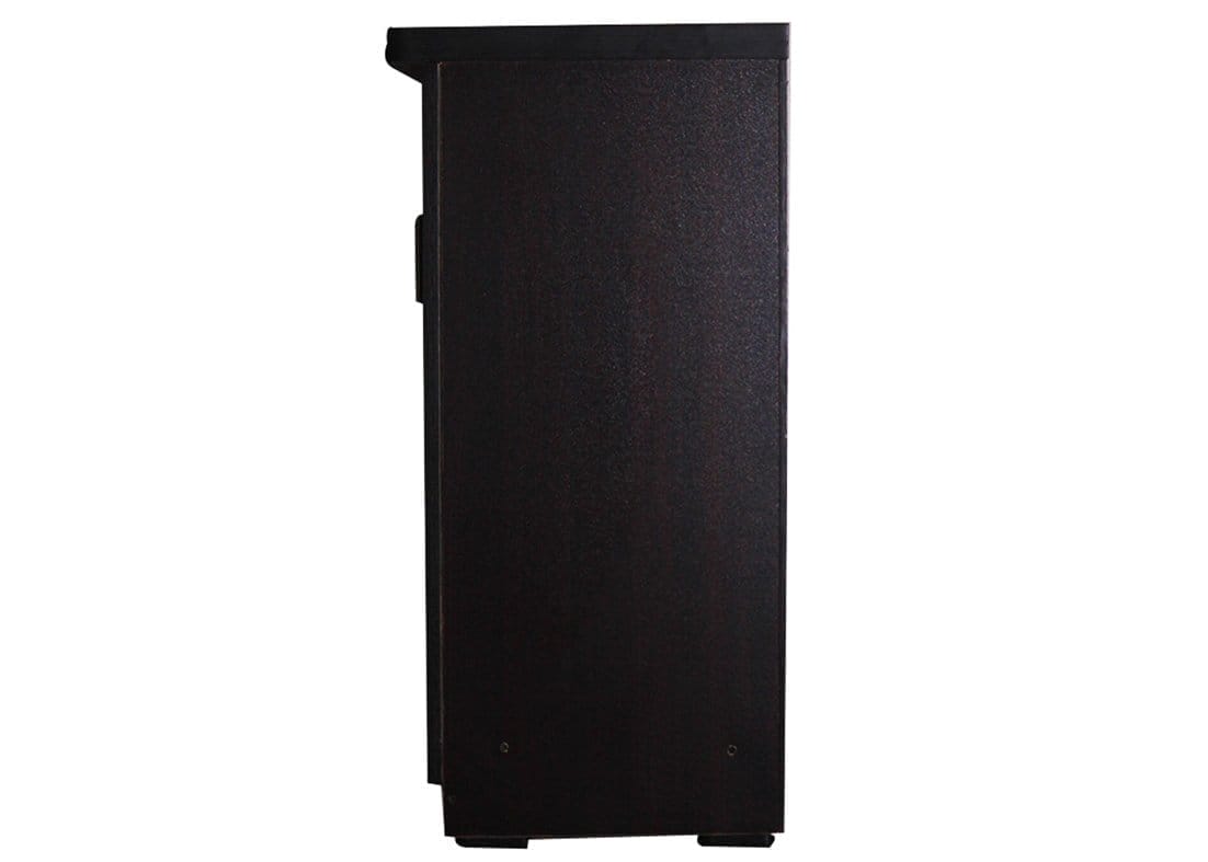 Contemporary Styled 2 Door Shoe Rack