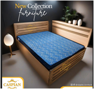 Caspian Furniture brown colour Queen size bed with Storage for Bedroom || Living Room etc