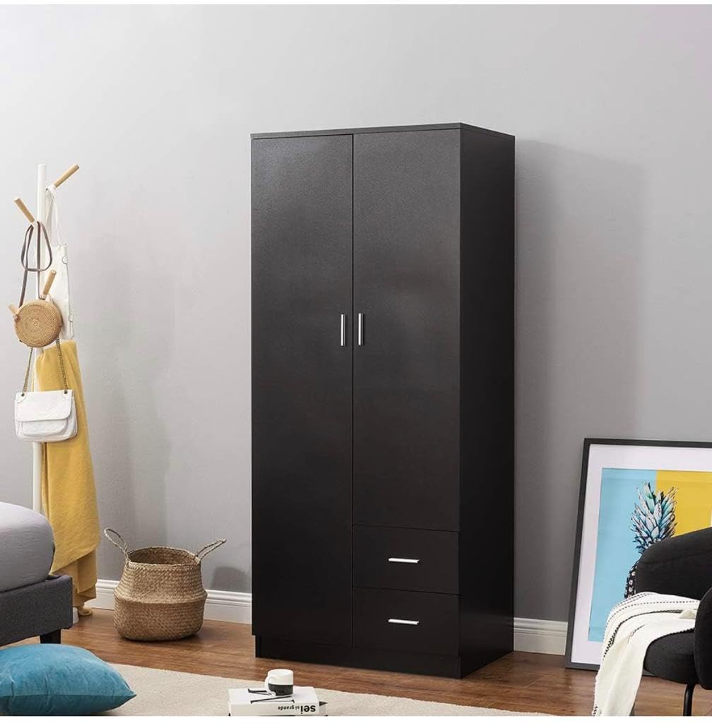 CASPIAN Furniture 2 Door Wardrobe with Mirror for Bedroom |Value Cupboard with Adequate 2 Drawers and Hanging Space for Clothes | Colour Rainforest Dark | Pre Assembled (Medium (Width 30 inches))